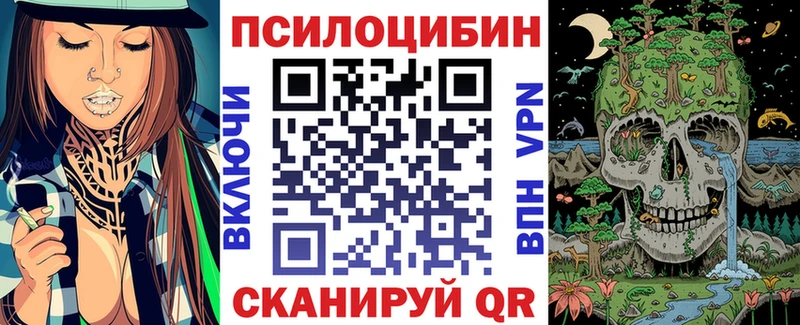 Псилоцибиновые грибы Cubensis  Исилькуль 