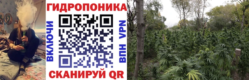 Каннабис VHQ  Исилькуль 